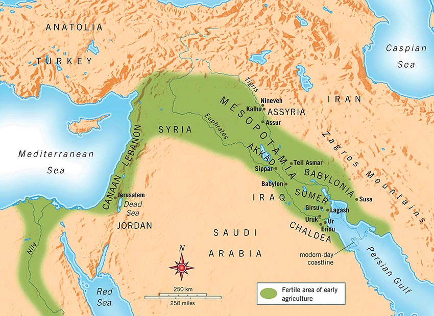 <p><span>Often referred to as the <mark data-color="blue" style="background-color: blue; color: inherit;">"cradle of civilization"</mark>, Mesopotamia was a sizeable ancient land that occupied the area of the T<mark data-color="blue" style="background-color: blue; color: inherit;">igris-Euphrates</mark> river system, roughly corresponding to<mark data-color="blue" style="background-color: blue; color: inherit;"> modern-day Iraq, southwestern Iran, southeastern Turkey, and northeastern Syria</mark>.</span></p>