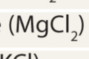 <p>Electrolyte: Magnesium chloride → </p>