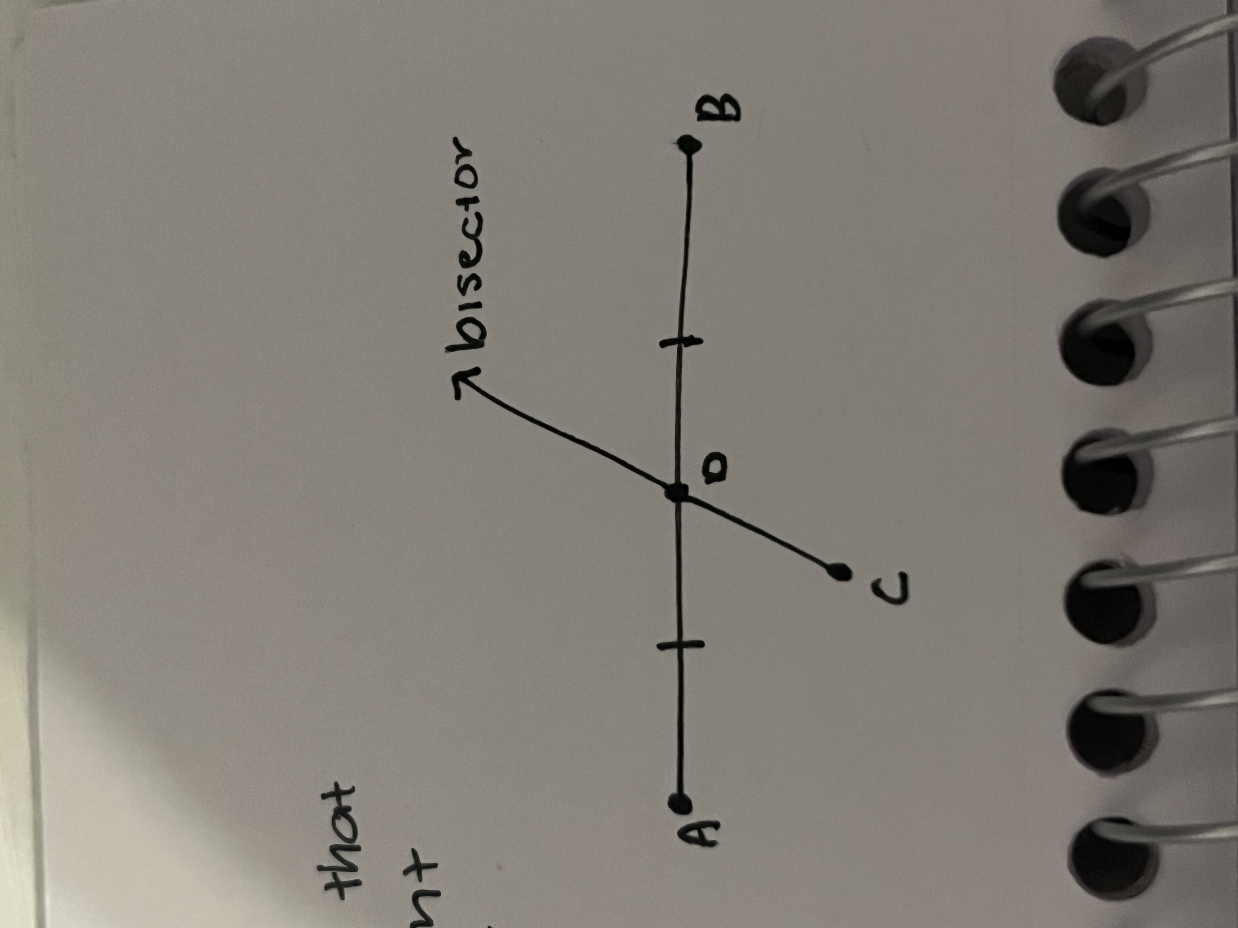 <p>A line segment or ray that intersects a segment at its midpoint</p>