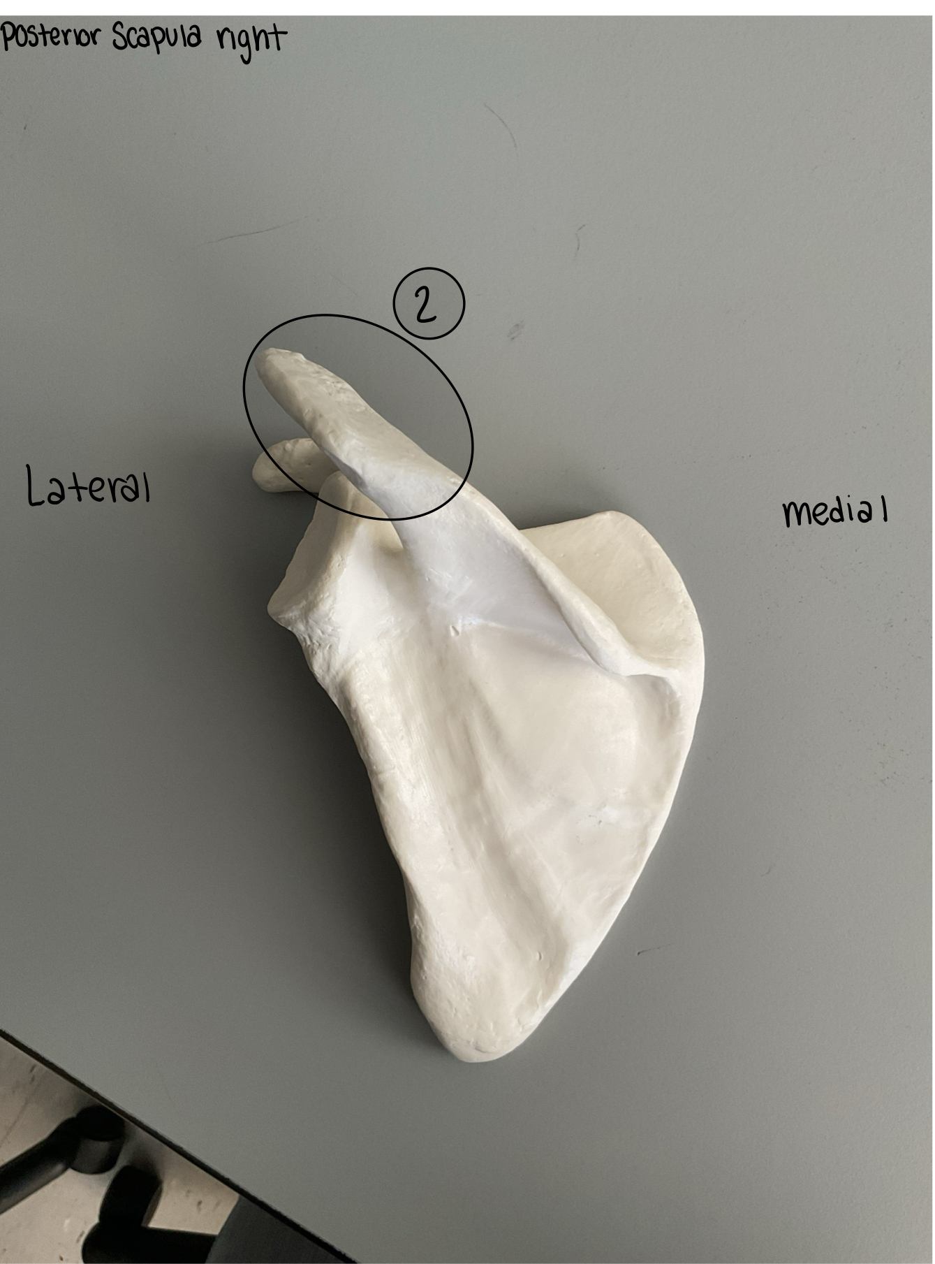 <p>2</p>