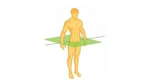 term image