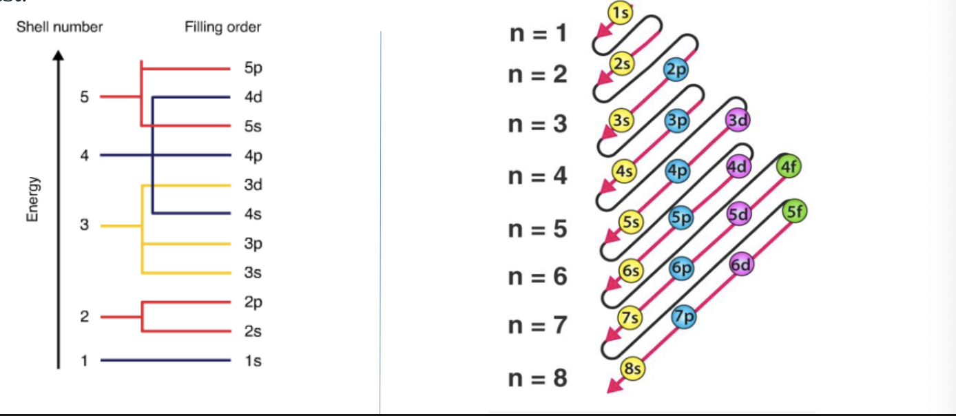 <p>electrons in different orbitals are filled in the increasing order of their energy</p>