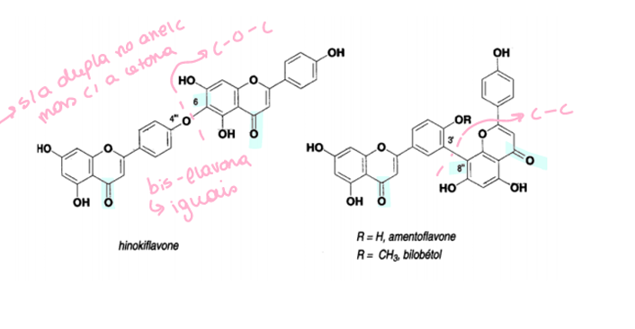 <p>São compostos que têm duas moléculas de flavonoides, unidas entre si pelas unidades C8 ou C6 de um deles, sendo que esta pode ser C-O-C ou C-C. Podem ser formados por flavonas ou por flavanonas.</p><p>Podem surgir bis-flavonas, bisflavanonas, flavona-flavanona, flavanona-chalcona. </p>