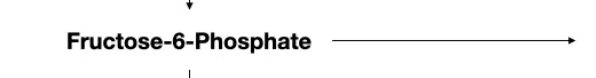 <p>In glycolysis, this can also become ____ and be catalyzed by the _____ enzyme, and this enzyme is inhibited and promoted by ______.</p>