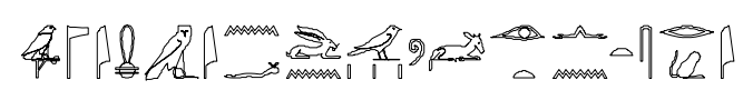 term image