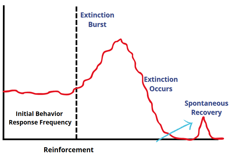 <p><span><span>When a behavior that has previously been put on extinction re- occurs after a period of time without its existence.</span></span></p>