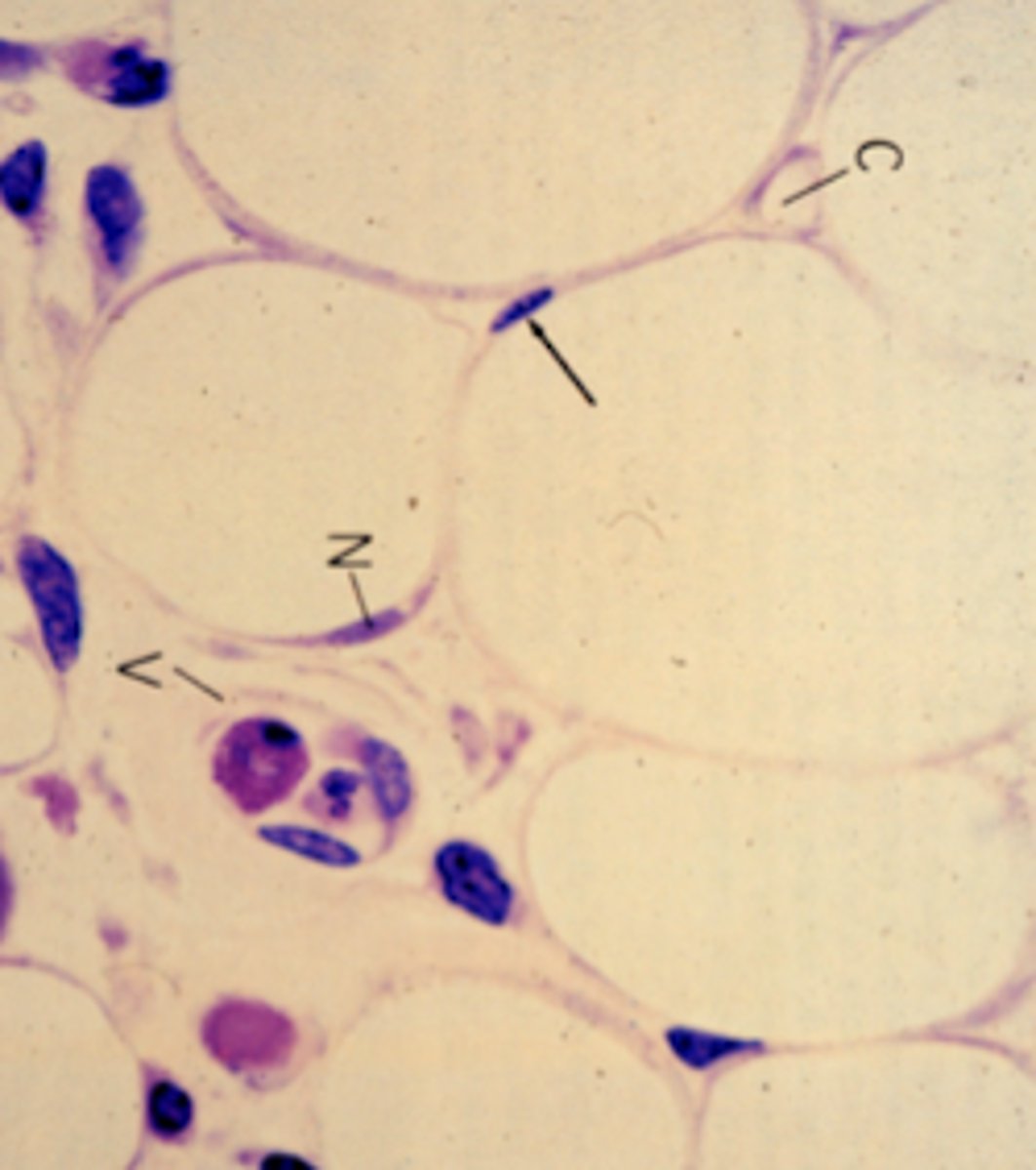 <p>What is this an image of?</p>