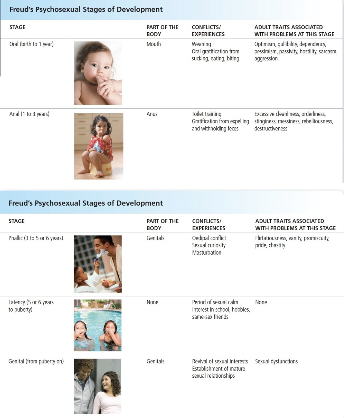 <p>Developmental stages involving erogenous zones and conflicts, can lead to fixations if not resolved.</p>