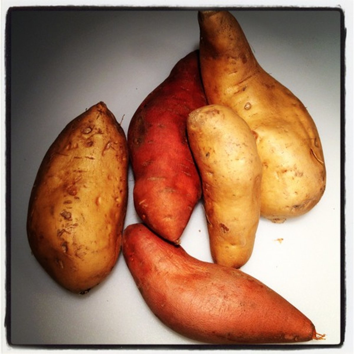 <p>shǔ - potato; yam</p>