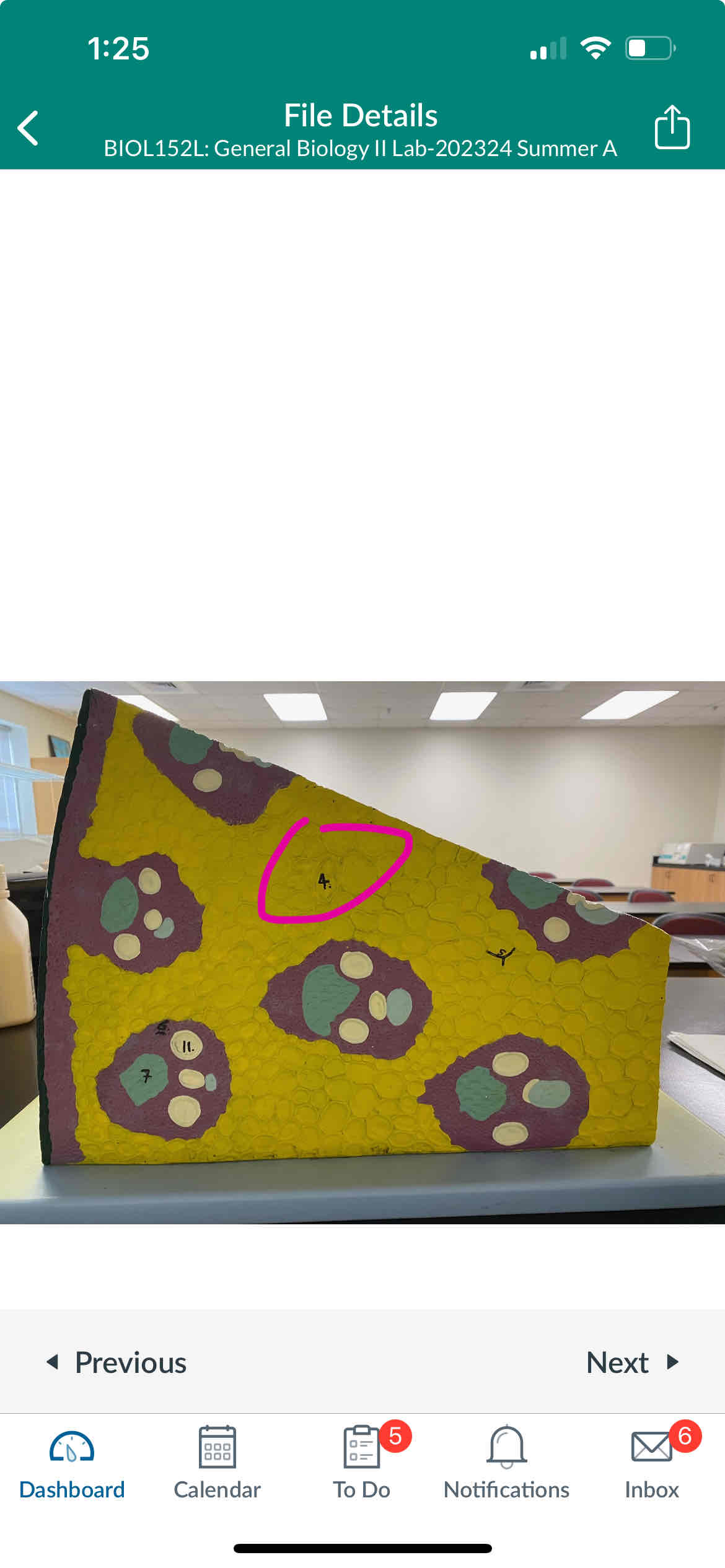 knowt flashcard image