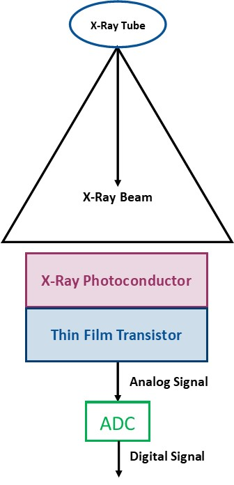 <ul><li><p>Capture and Couple: a-Se which is the <strong>photoconductor layer</strong></p></li><li><p>Collection: TFT</p></li></ul><p></p>