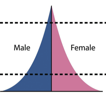 <p><span>In </span><strong>Stage 1</strong><span>, which applied to most of the world before the Industrial Revolution, both birth rates and death rates are high. As a result, population size remains fairly constant but can have major swings with events such as wars or pandemics. (Thin Top, Wide Bottom!)</span></p>