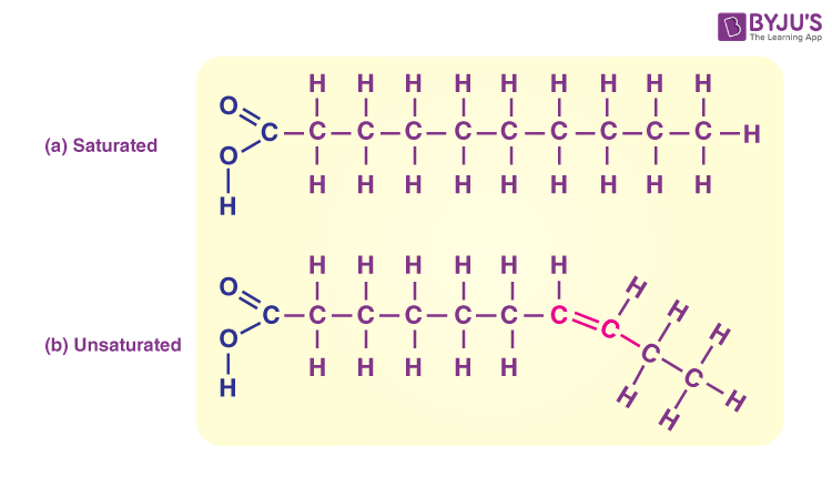 <p><span>Fats made of long carbon chains.</span></p>