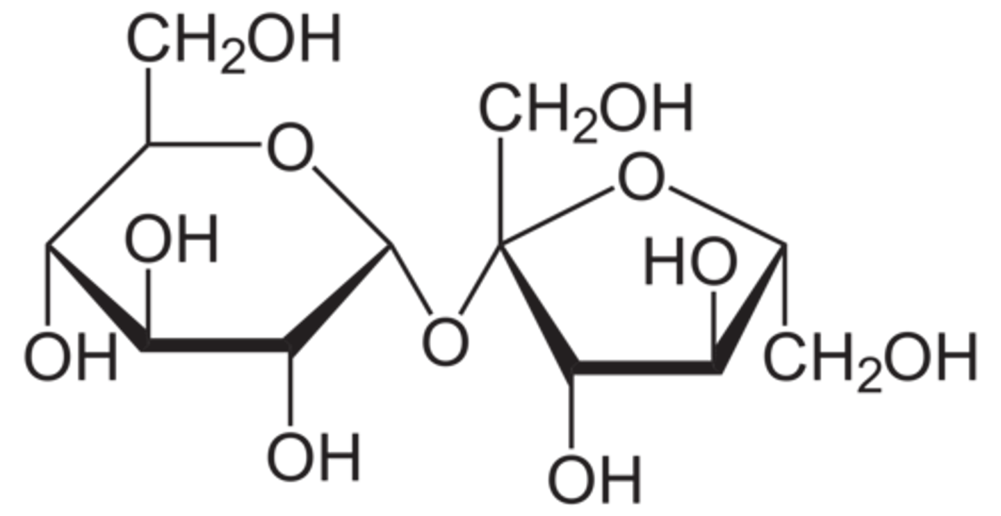 <p>(C) α-Glc1,2-β-Fru</p>