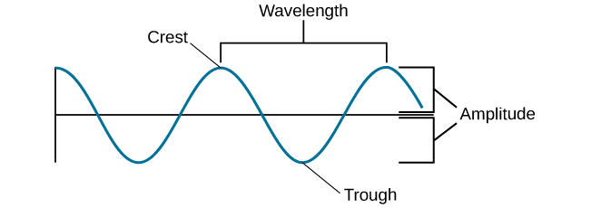 <p>amplitude</p>