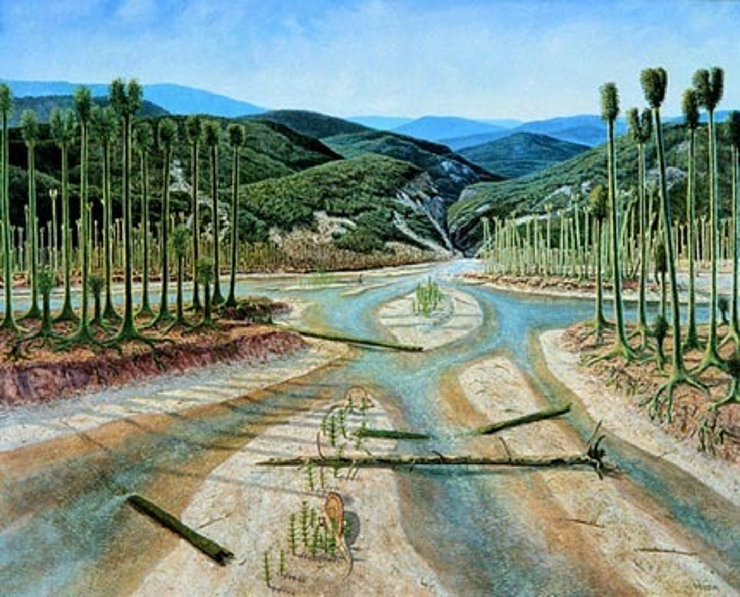 <p>Carboniferous, Ancestral Rockies</p>