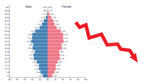 <p>negative growth (population is shrinking)</p>