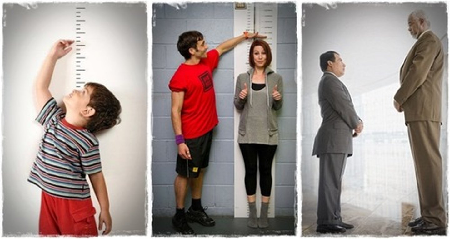 <p>しんちょう</p><p>chiều cao cơ thể</p><p>身長をはかる。</p><p>Đo chiều cao.</p>