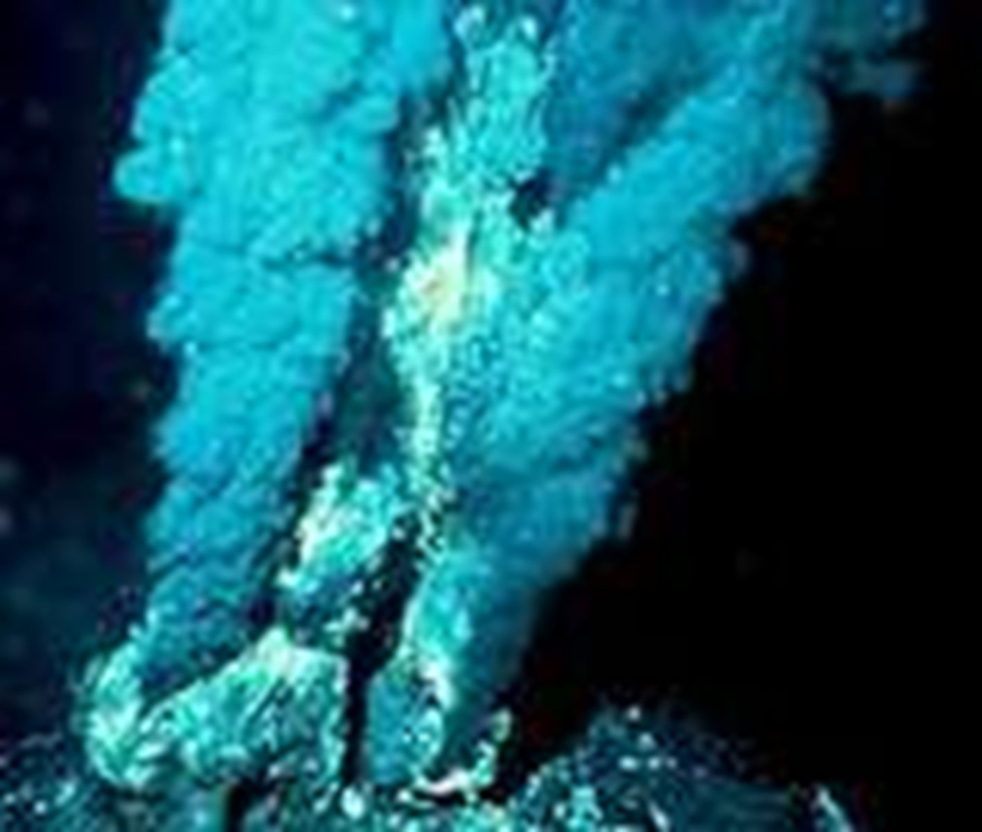 <p>Builds organic molecules from oxidation of inorganic chemicals</p>