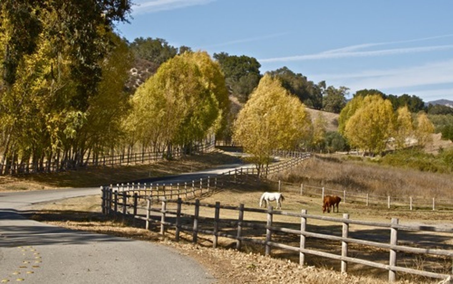 <p>(adj.) characteristic of the countryside, rural; relating to shepherds and cowherds, pastoral</p><p>(SYN: rustic)</p><p>(ANT: metropolitan)</p>