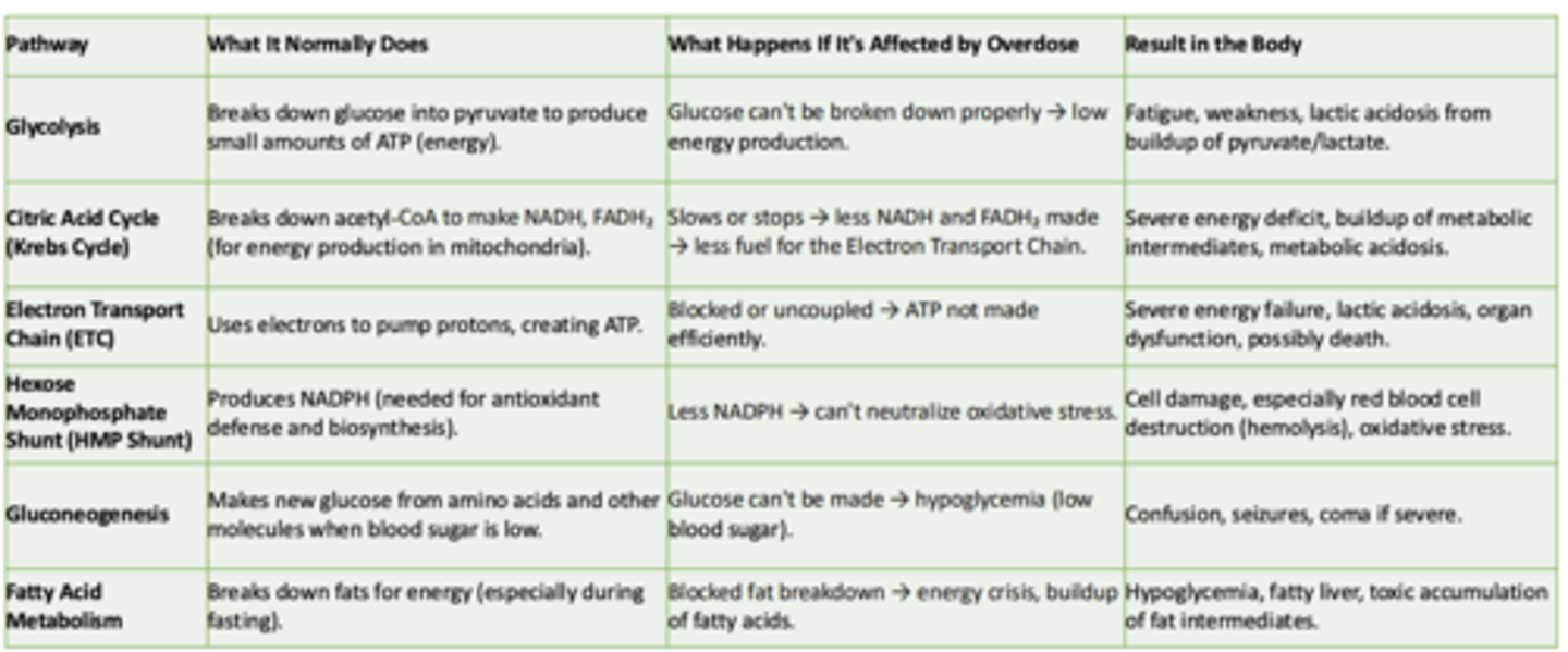 <p>What it normally does:</p><p>- Breaks down glucose int pyruvate to produce small amounts of ATP</p><p>What happens if its affected by overdose:</p><p>- Glucose can't be broken down properly → low energy production</p><p>Result in the body:</p><p>- Fatigue, weakness, lactic acidosis from buildup of pyruvate/lactate</p>