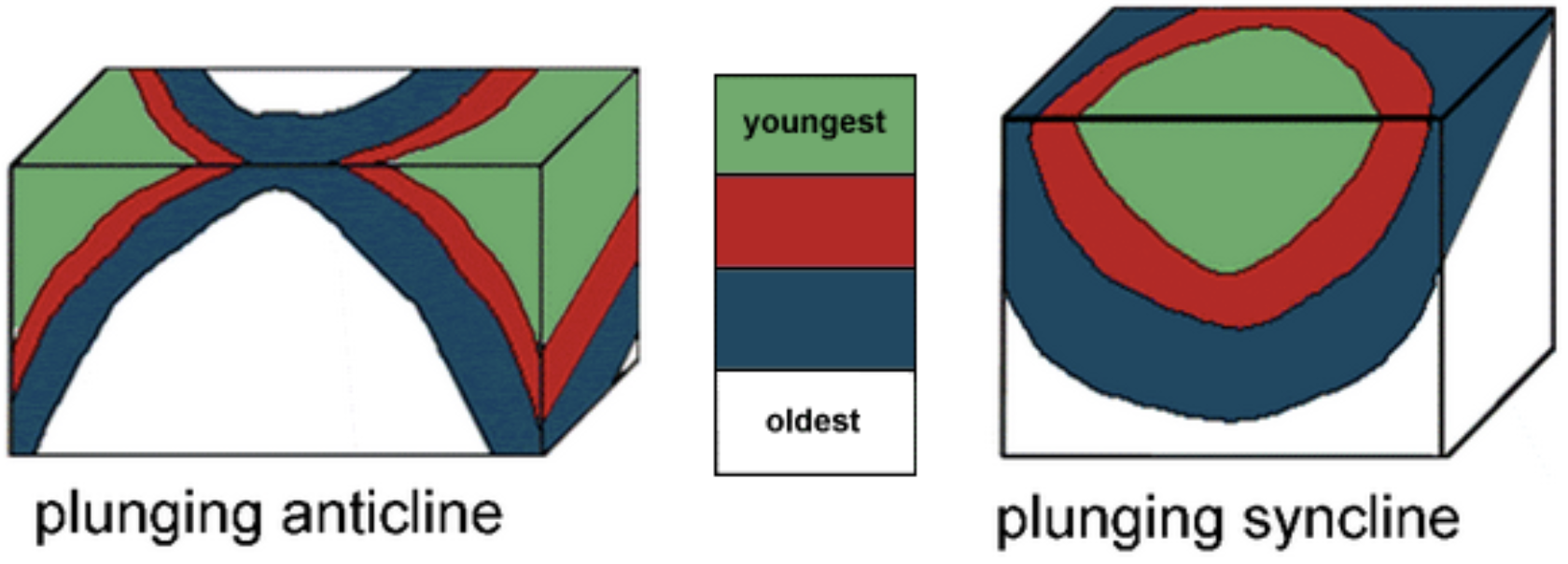 <p><strong>Anticline</strong> = where beds arch <strong>upwards</strong> (like an <strong>“A”</strong> shape)</p><ul><li><p><strong>oldest</strong> strata in <strong>center</strong>, <strong>youngest</strong> on the <strong>outside</strong> <strong>edges</strong></p></li></ul><p><strong>Syncline</strong> = where bends arch <strong>downwards</strong> (like a <strong>“U”</strong> shape)</p><ul><li><p><strong>youngest</strong> strata in <strong>center</strong>, <strong>oldest</strong> on the <strong>outside edges</strong></p></li></ul>