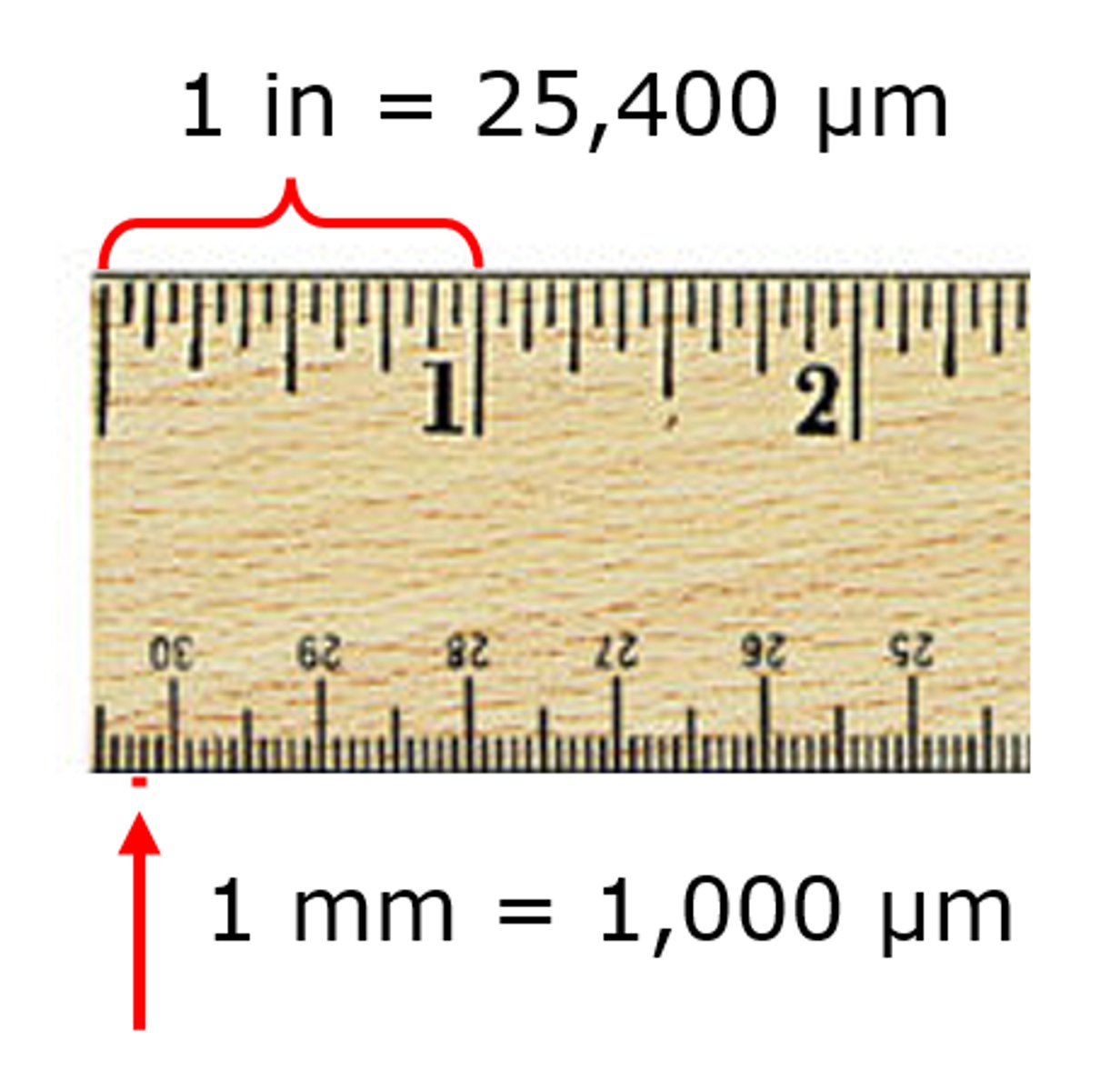 <p>a unit of length used to measure bacteria, equal to 1/25,000 of an inch or 1/1,000 of a millimeter</p>