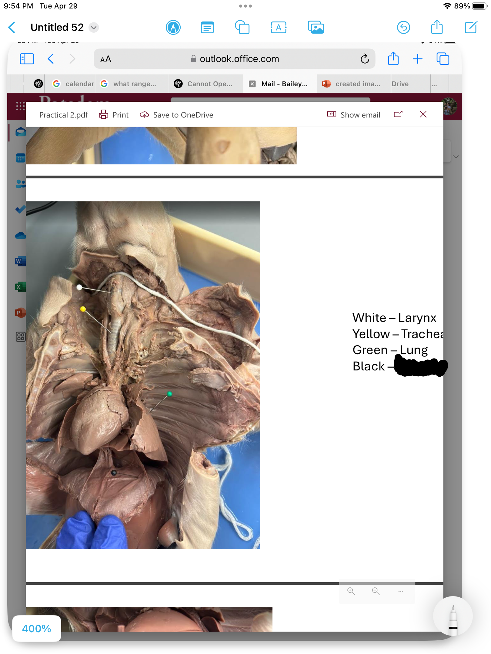 <p>label the area</p>