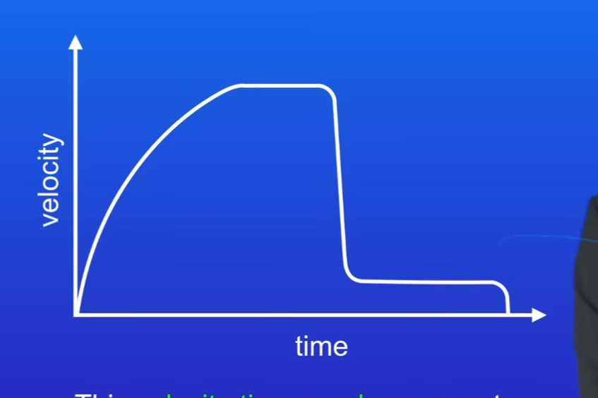 <p>Describe motion of skydiver in graph </p>