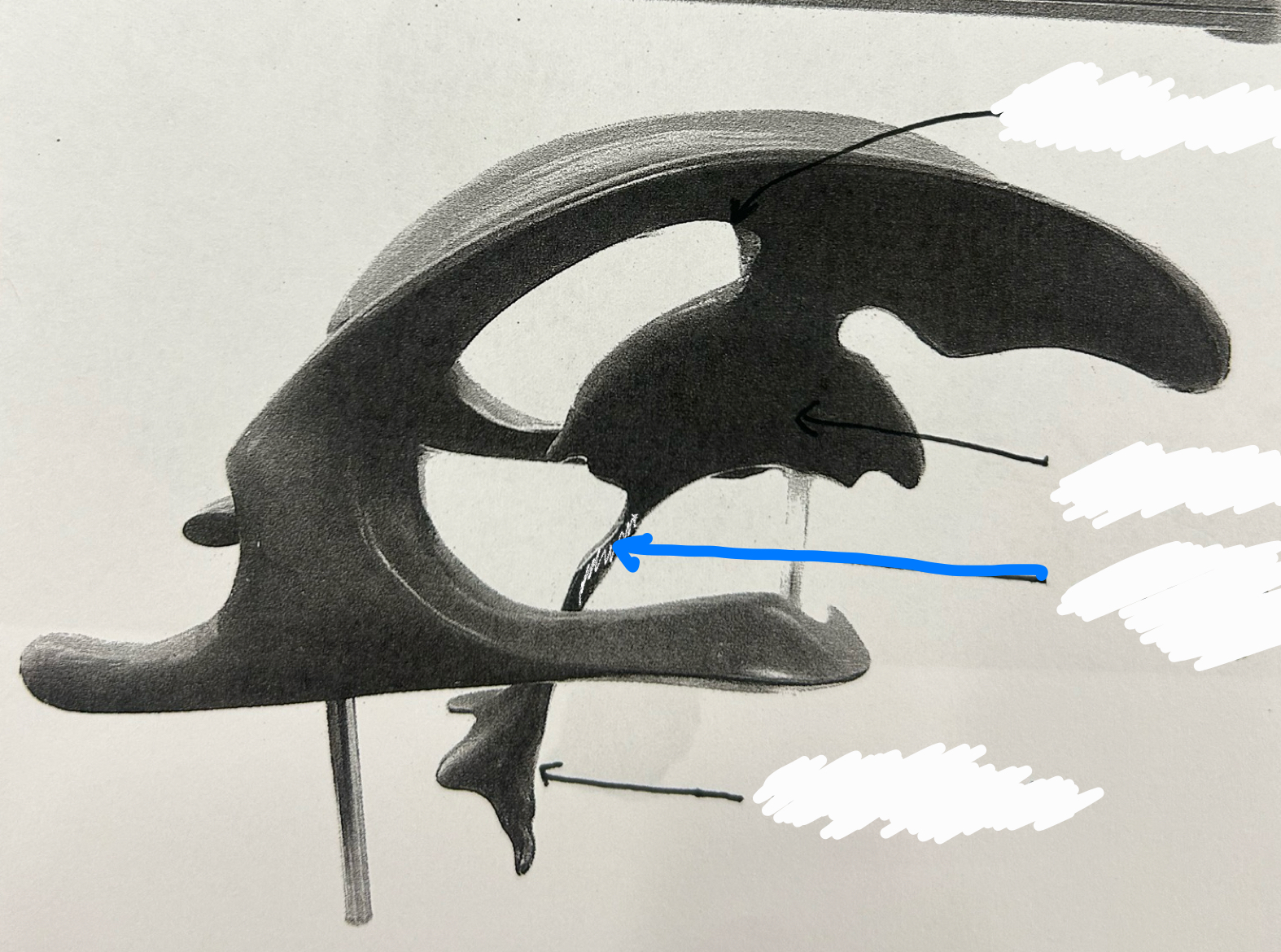 knowt flashcard image