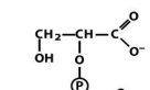 <p>structure of 2 phosphoglycerate</p>