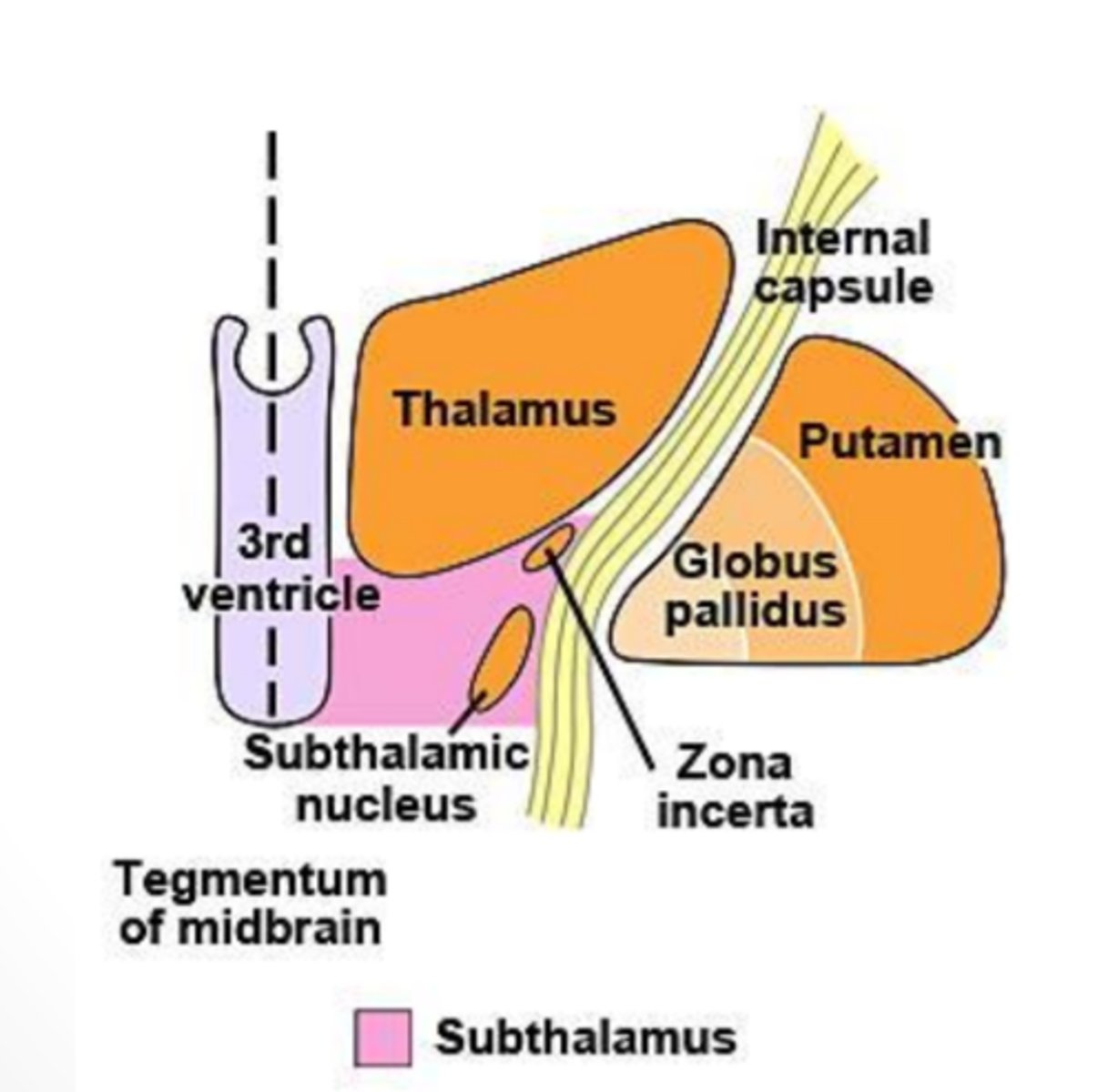 <p>it is largely unknown besides sending/receiving projections</p>