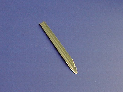 <p>Scoopula</p>