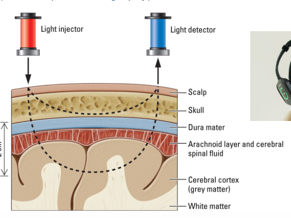 <p>Reflected <span style="color: red">infrared light</span> is used to determine<span style="color: red"> blood flow</span> because oxygen-rich blood and oxygen-poor blood differ in their absorption spectra.</p><ul><li><p>By measuring the blood’s light absorption it is possible to measure the <span style="color: red">brain’s average cortical oxygen consumption</span> (~like fMRI, but more superficial.</p></li></ul><p>Light is absorbed differently depending on the type of structure. </p>