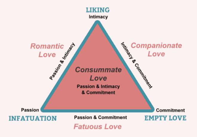 <p>intimacy &amp; commitment</p>