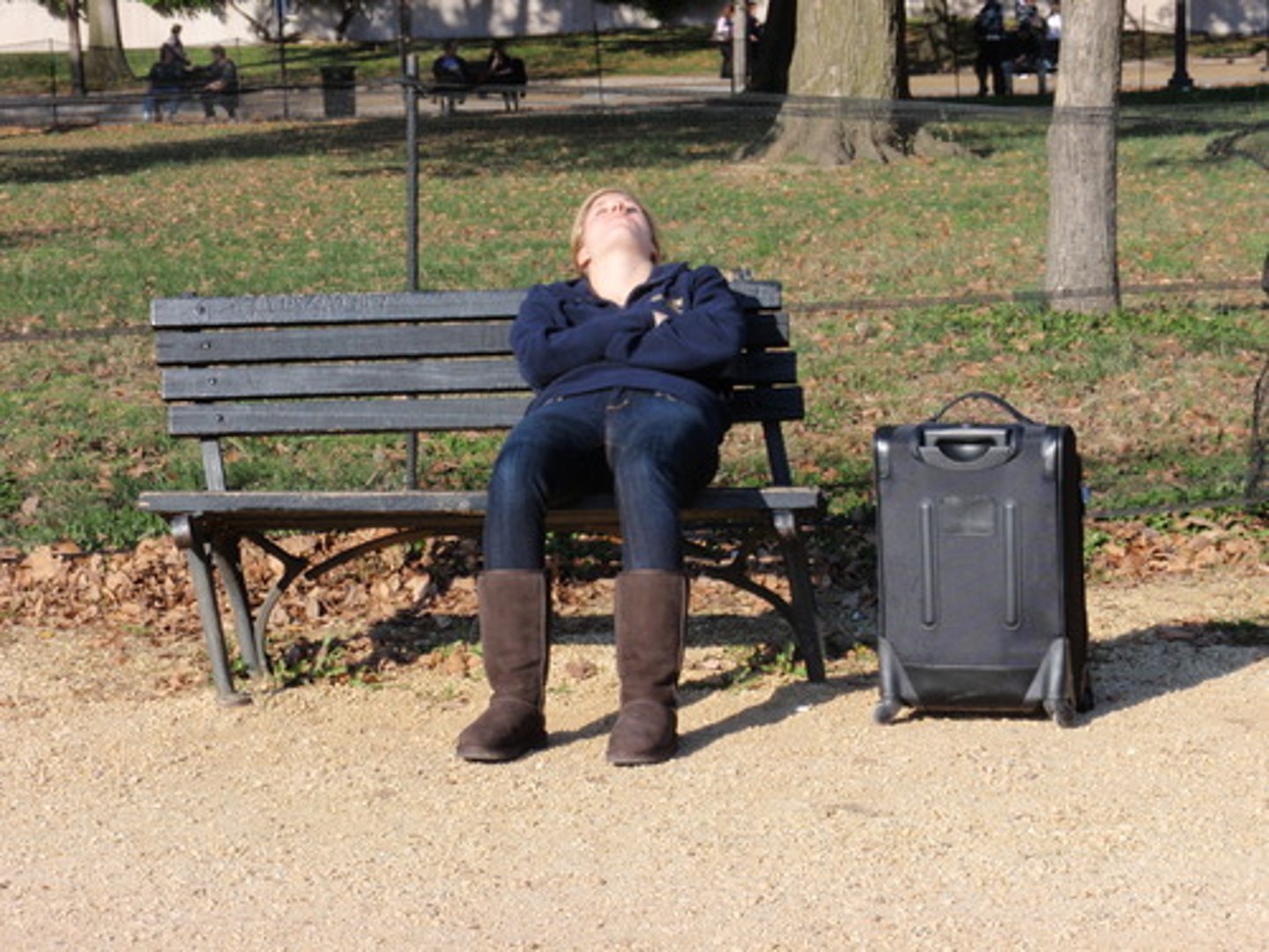 <p>inactivity resulting from lethargy and lack of vigor or energy ; awakening from --, a state of --</p>