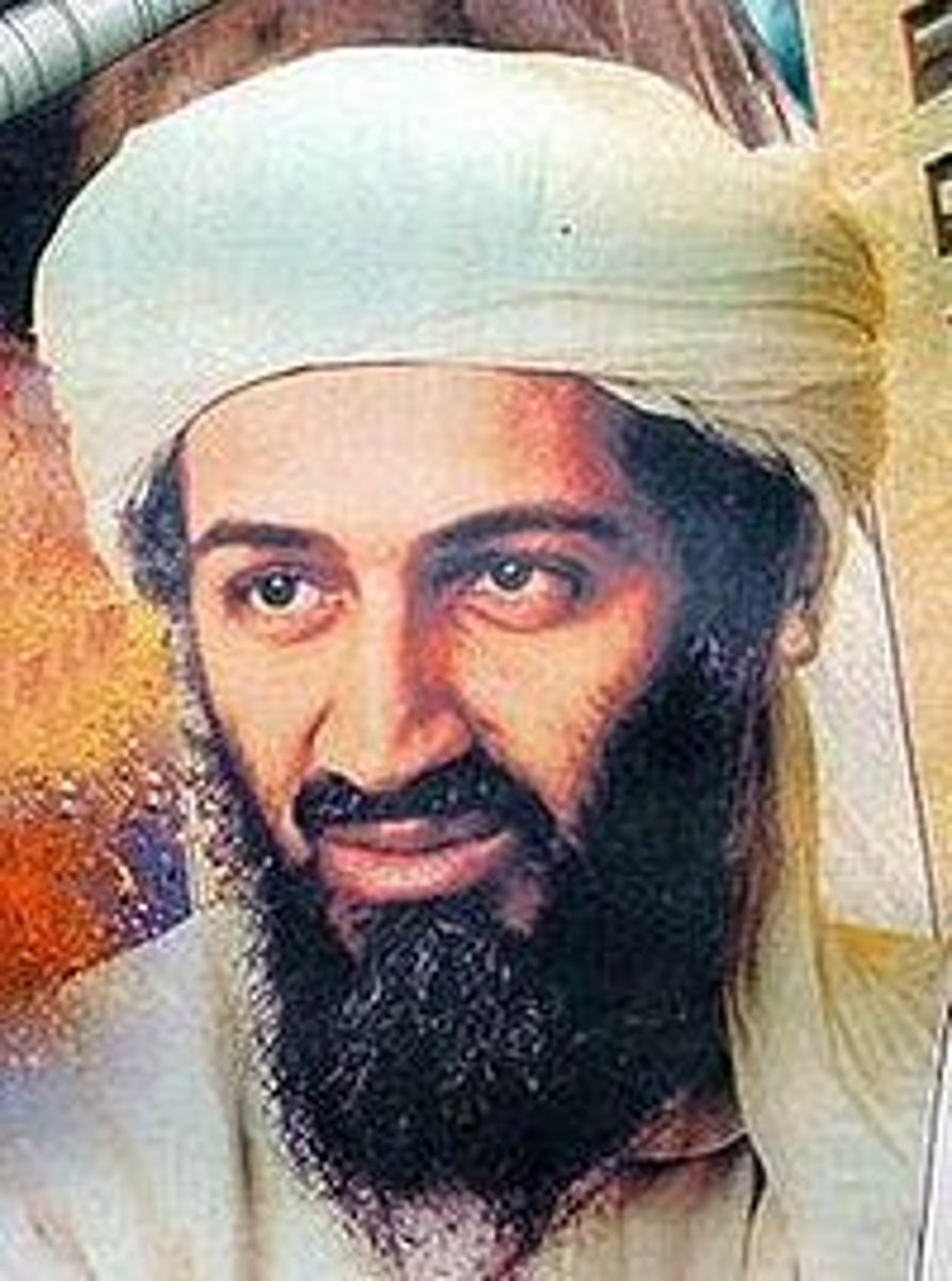 <p>Saudi Militant who heads the terrorist group, al Qaeda, is responsible for 9/11 and other terrorist attacks.</p>