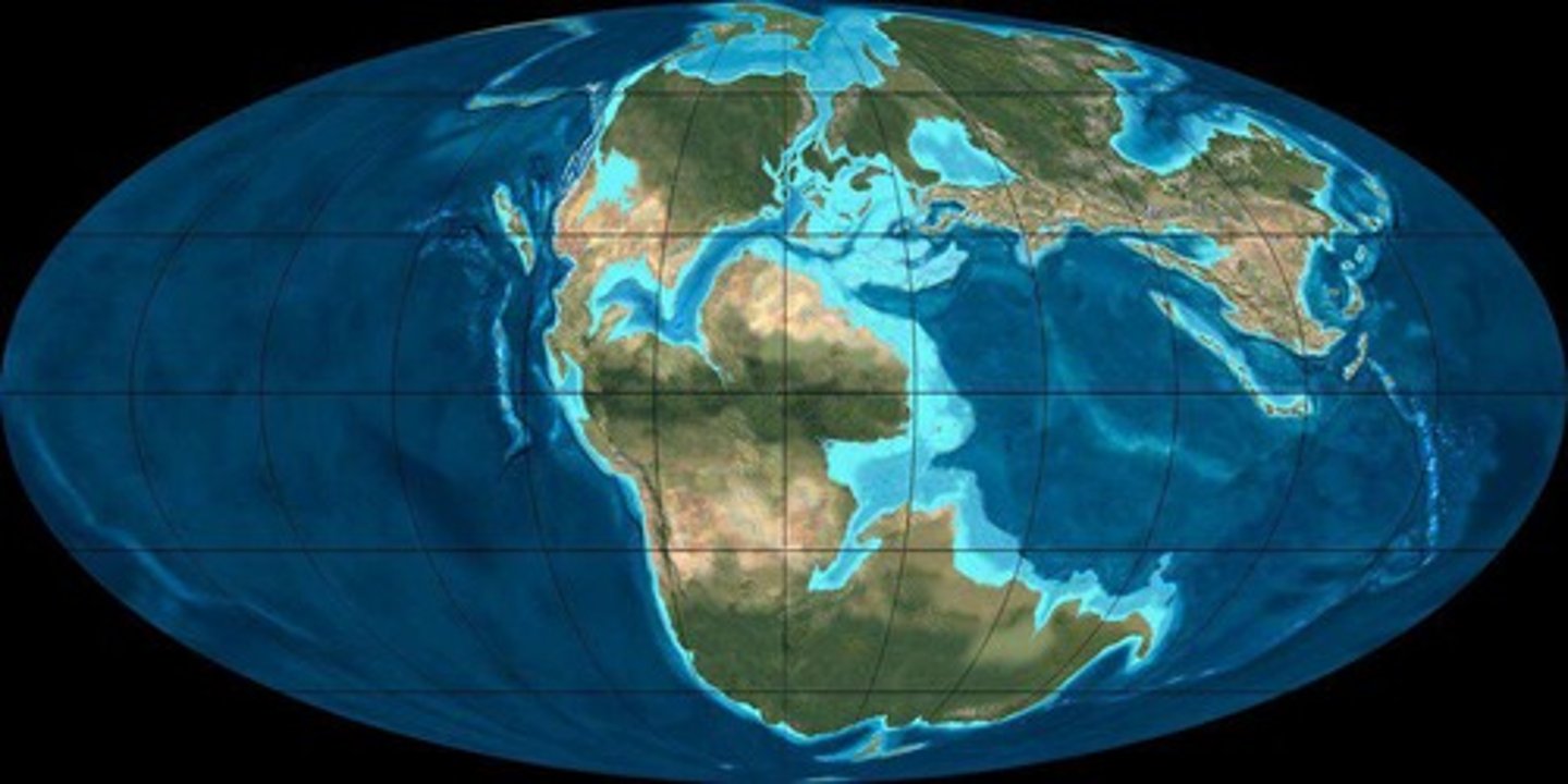 <p>Pangaea.</p>