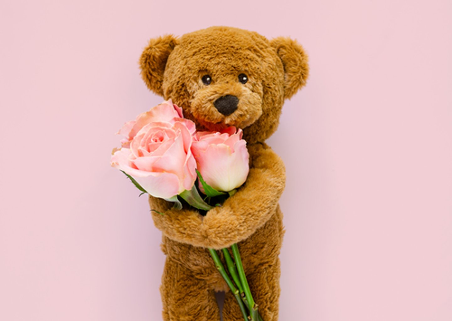 <p>My girlfriend loves soft toys, so I gave her a _____________________.</p>