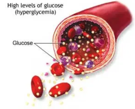 <p><span style="background-color: transparent; font-family: "Open Sans", sans-serif;"><span>Blood is primarily water.&nbsp;</span></span></p><p><span style="background-color: transparent; font-family: "Open Sans", sans-serif;"><span>Hydrophilic (“water-loving”), molecules can therefore dissolve and be directly transported in the blood. Examples include:&nbsp;</span></span></p><ul><li><p><span style="background-color: transparent; font-family: "Open Sans", sans-serif;"><strong><span>Glucose</span></strong></span></p></li><li><p><span style="background-color: transparent; font-family: "Open Sans", sans-serif;"><span>Many </span><strong><span>amino acids</span></strong><span> </span><em><span>(those with polar/ionic R groups)</span></em></span></p></li><li><p><span style="background-color: transparent; font-family: "Open Sans", sans-serif;"><span>Ions </span><em><span>(Minerals such as Na</span><sup><span>+</span></sup><span>, K</span><sup><span>+</span></sup><span>, Cl</span><sup><span>-</span></sup><span>, etc)</span></em></span></p></li></ul><p></p>
