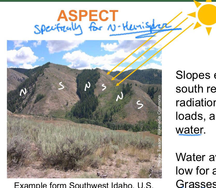 <p>Direction in which a slope faces</p>