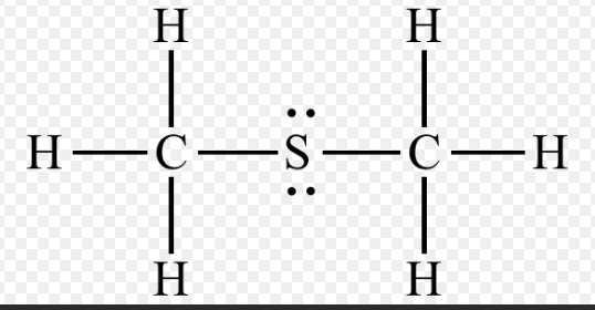 <p>What is this functional group? </p>