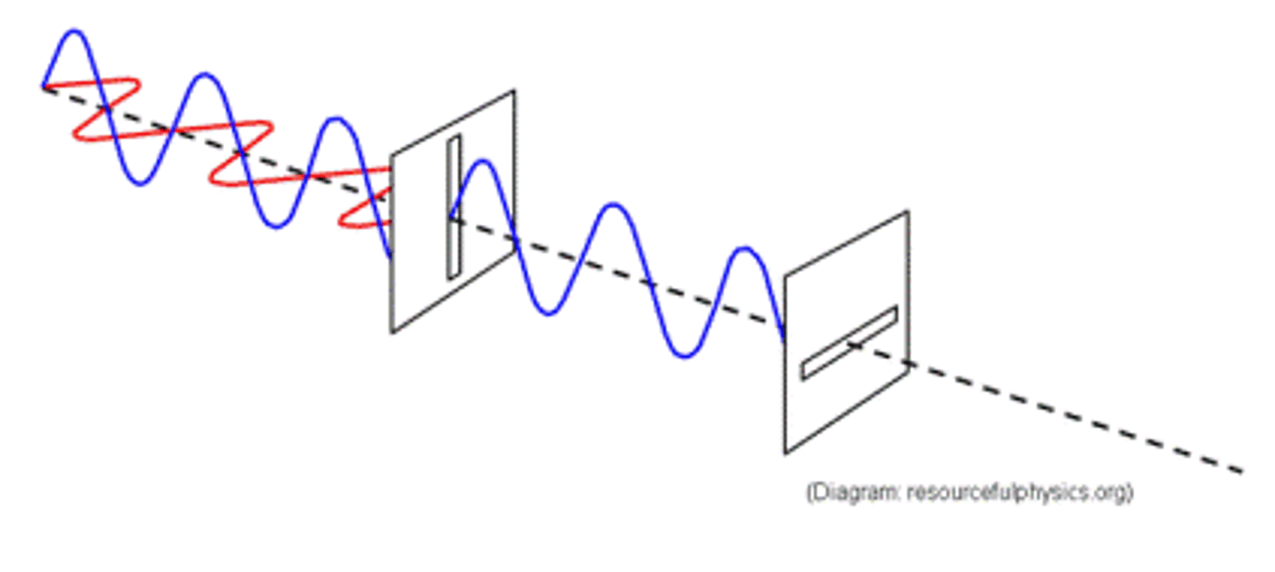 <p>The oscillations of a polarised wave are all in a single plane which inlcudes the direction of propagation of the wave.</p>