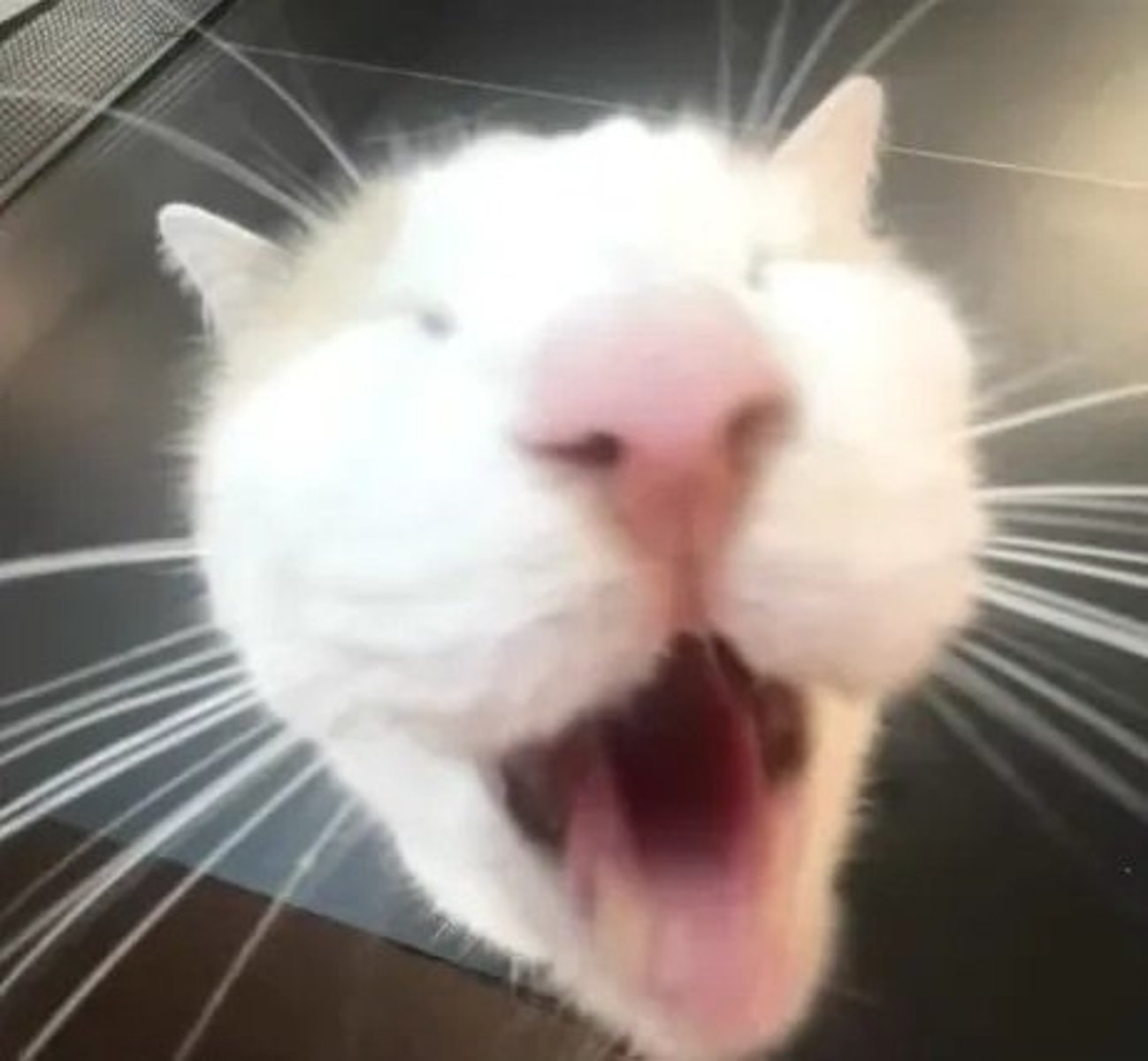 <p>thỏa mãn, mãn nguyện</p>