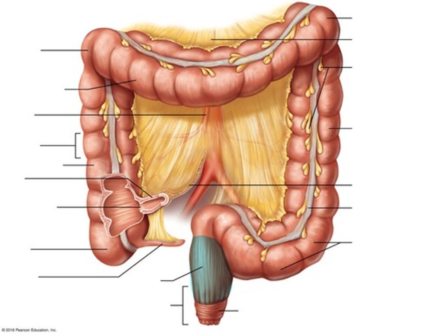 <p>Structure after the colon</p>