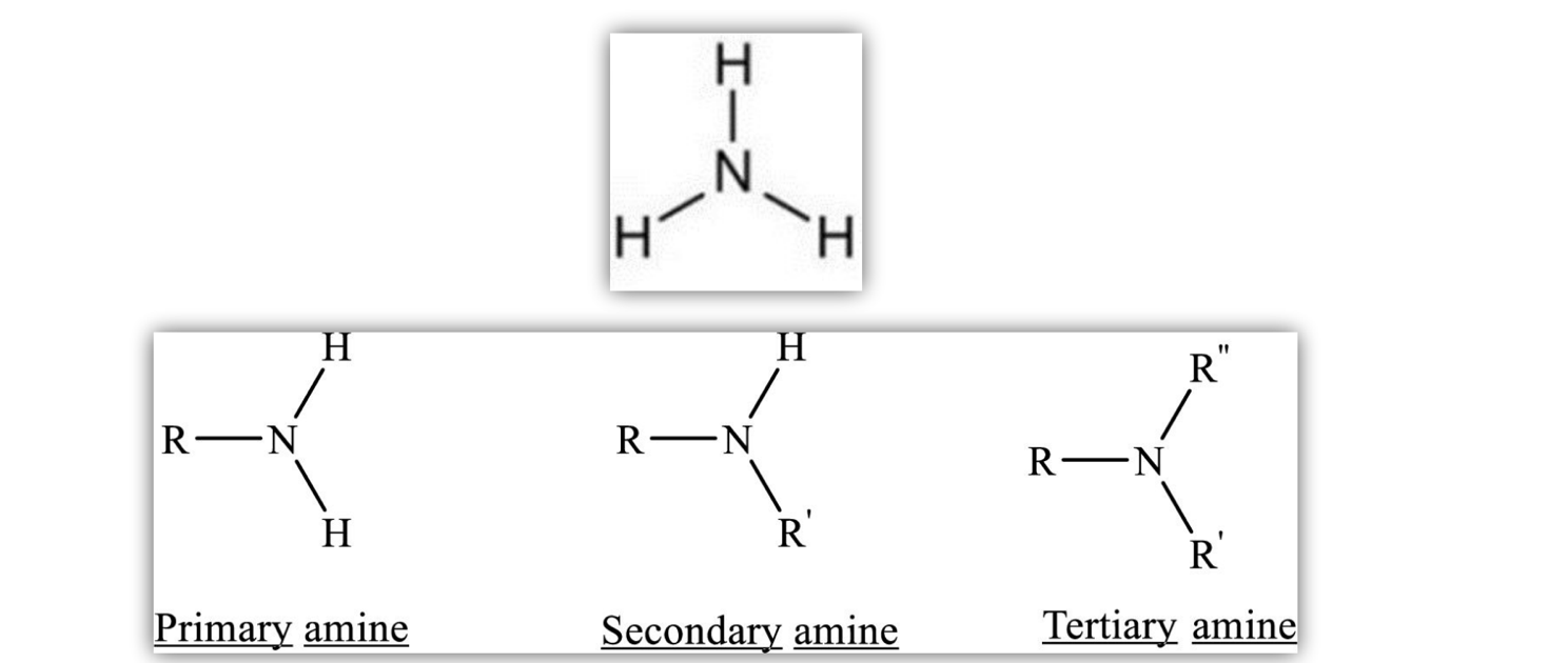 Types of Amines