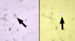 <p>What is this?</p>