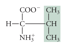 <p>Val, V, Non-polar</p>