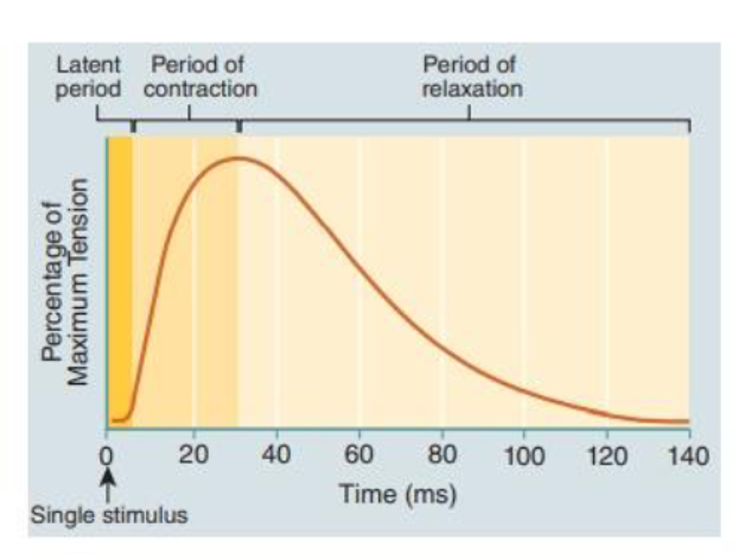 <p>What is this contraction?</p>