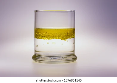 <p>Are lipids (fats and oils) hydrophilic <span data-name="blue_heart" data-type="emoji">💙</span><span data-name="droplet" data-type="emoji">💧</span> or hydrophobic<span data-name="droplet" data-type="emoji">💧</span><span data-name="cross_mark" data-type="emoji">❌</span>?</p>